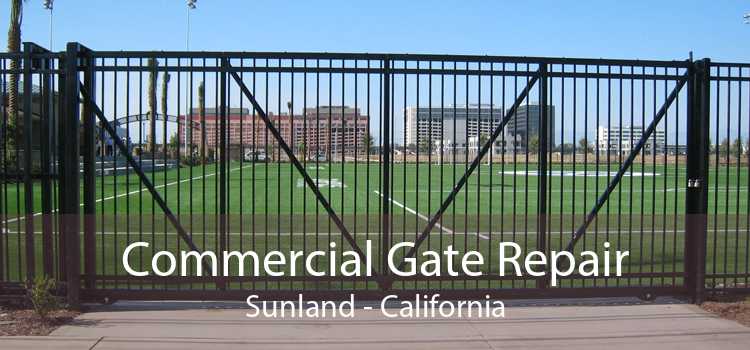 Commercial Gate Repair Sunland - California